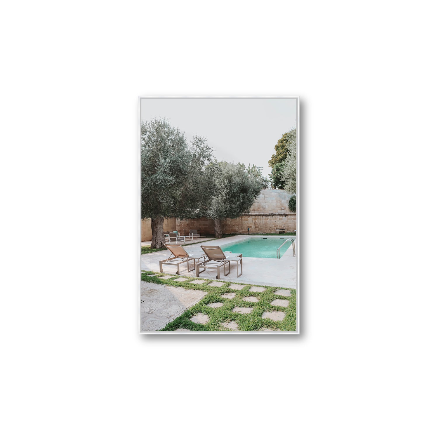 Olive Oasis