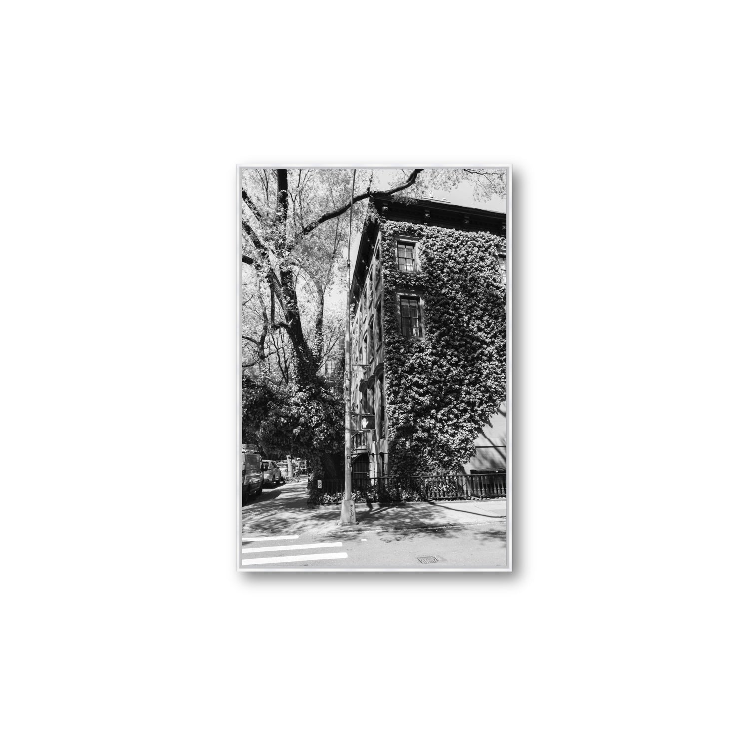 Vertical Garden New York NYC Black & White wall art Large fine art canvas in white float frame