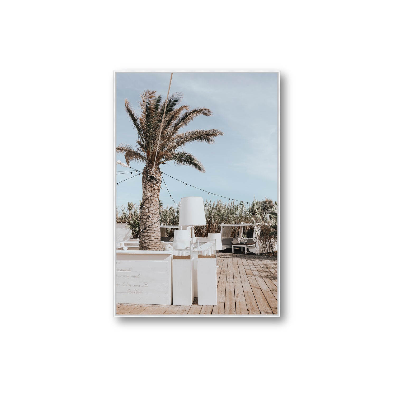 Seabreeze Palm