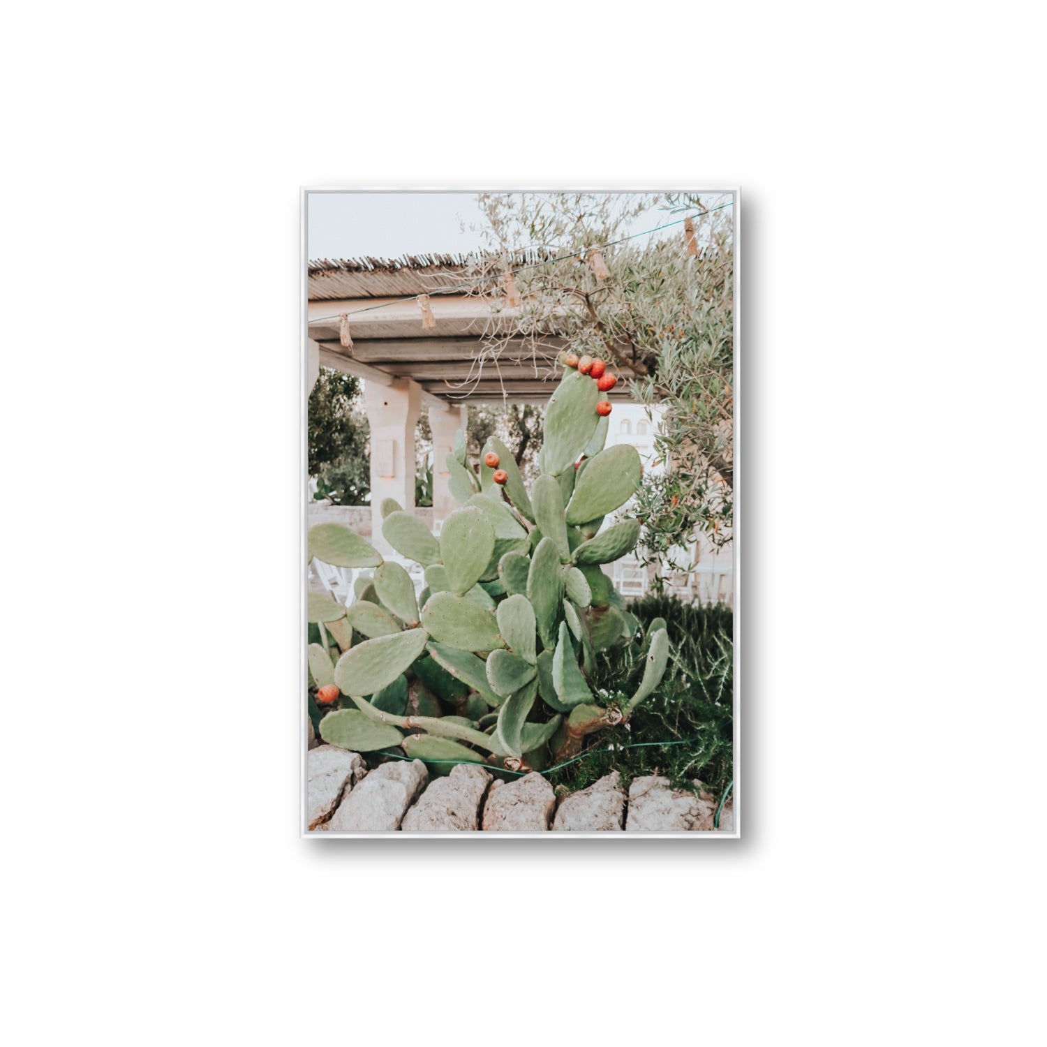 Opuntia Beauty Puglia wall art Extra Large fine art canvas in white float frame