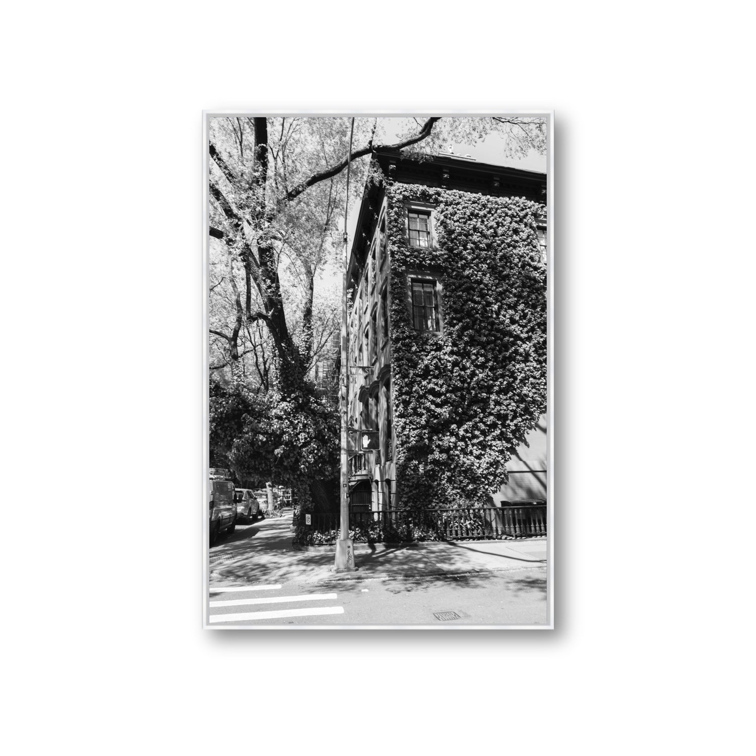 Vertical Garden New York NYC Black & White wall art Giant fine art canvas in white float frame
