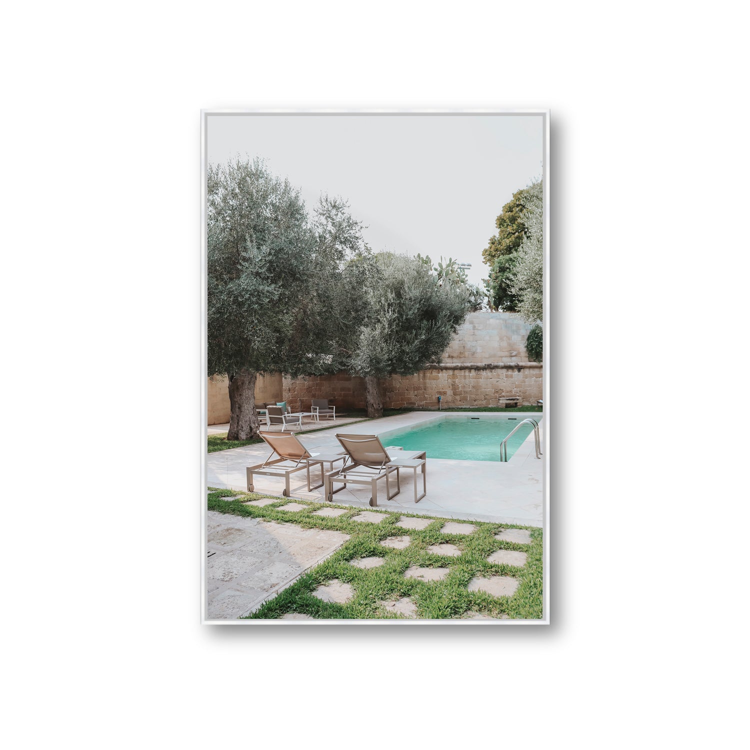 Olive Oasis