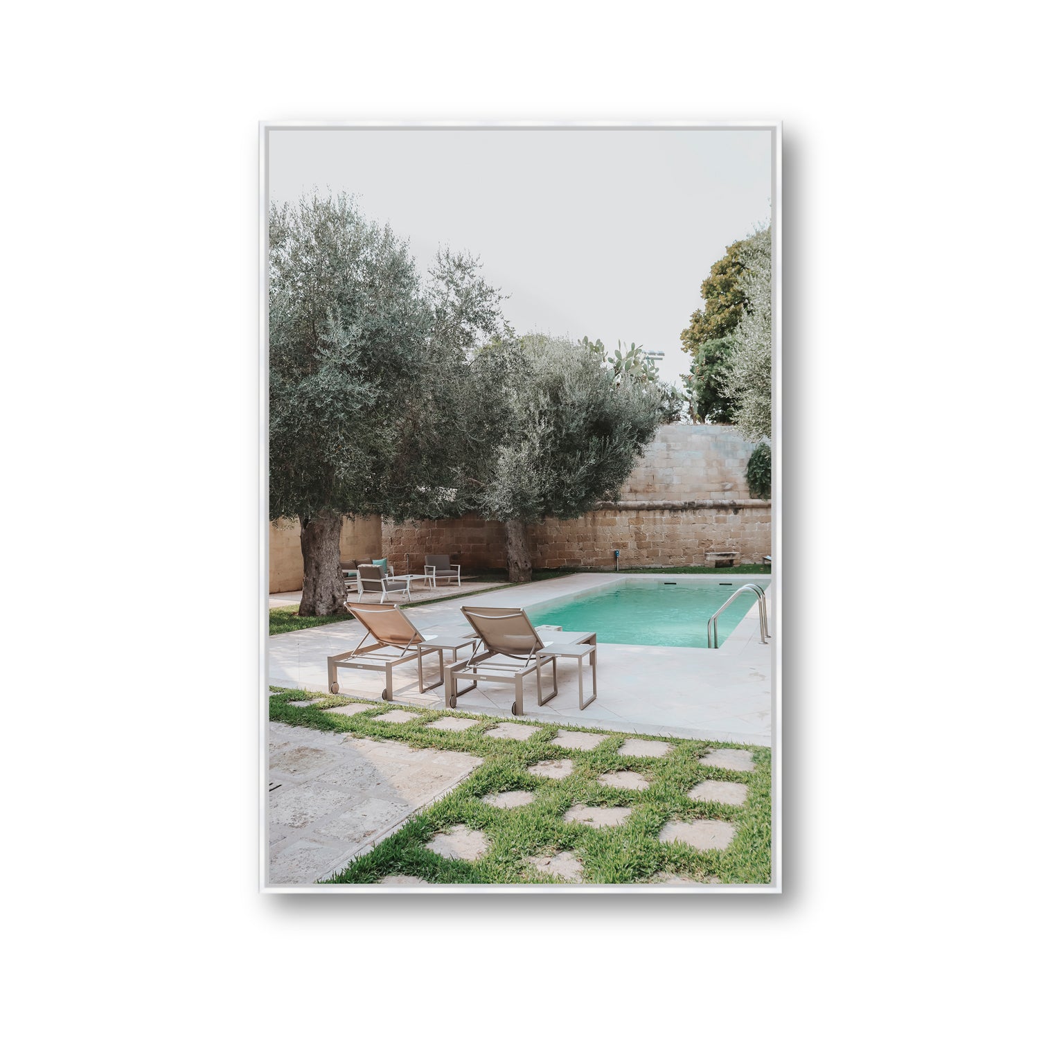 Olive Oasis