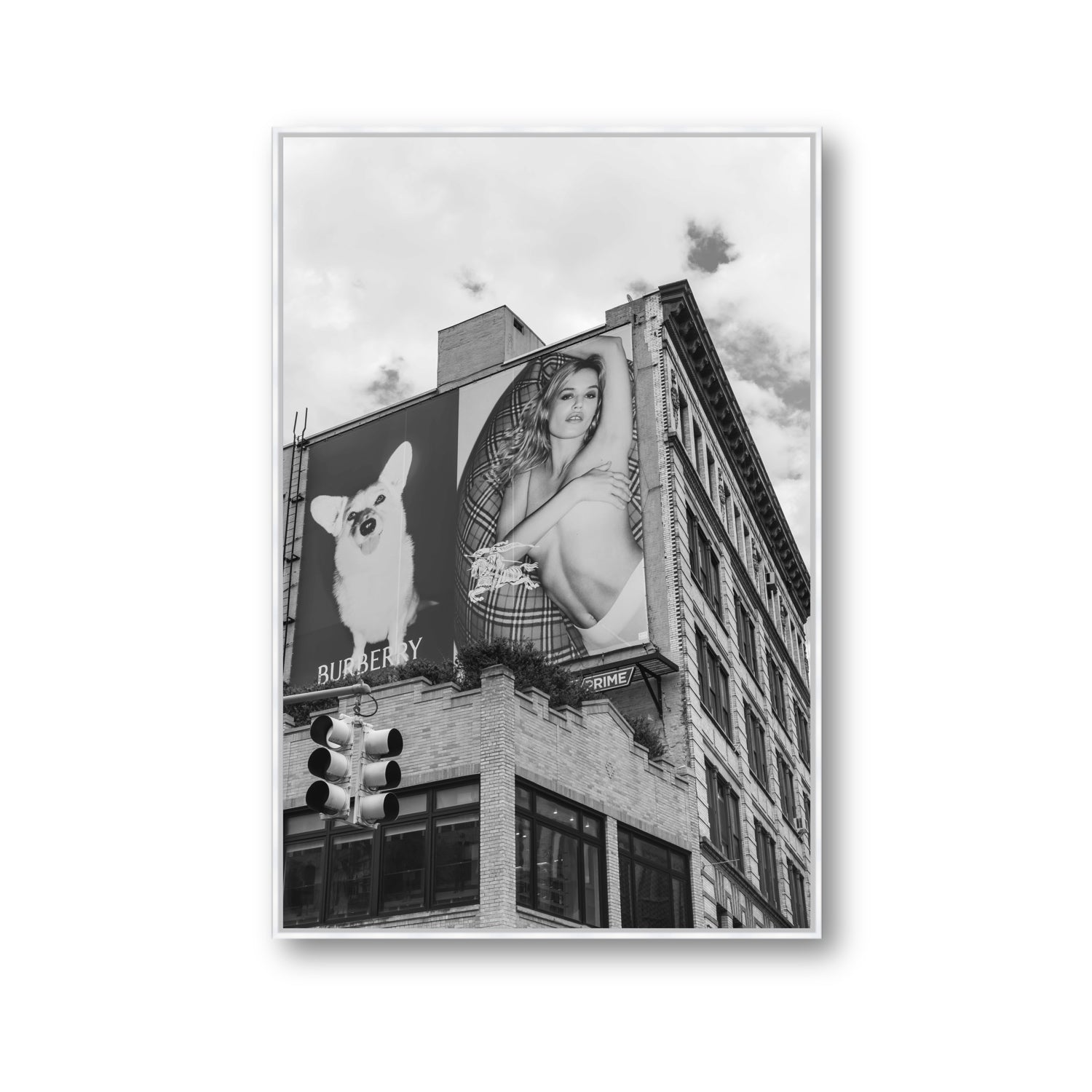 Dynamic Duo fine art print, New York, United States, Gallery, White Float Frame, Fine Art Canvas