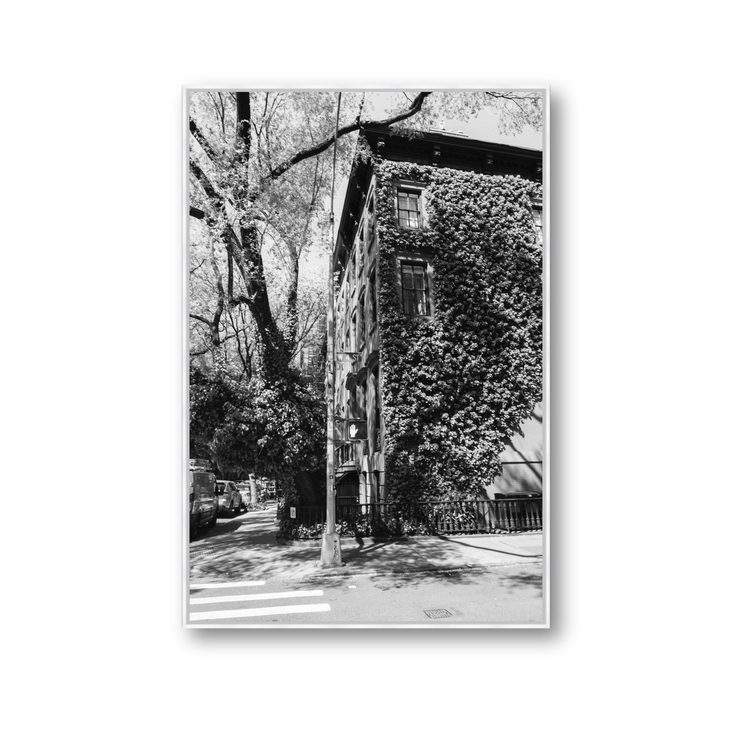 Vertical Garden New York NYC Black & White wall art Gallery fine art canvas in white float frame