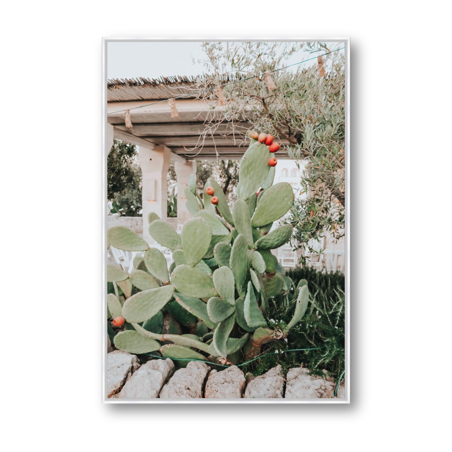 Opuntia Beauty Puglia wall art Statement fine art canvas in white float frame