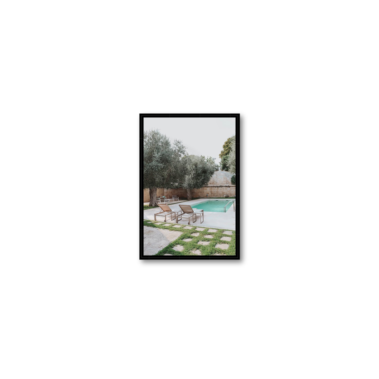 Olive Oasis