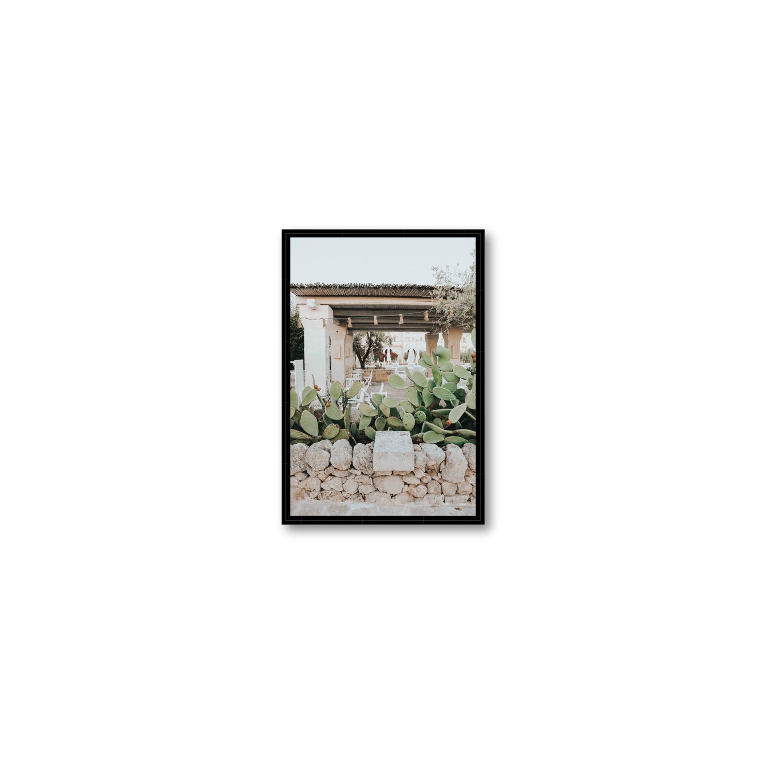 Puglia Flora Puglia Borgo Egnazia Mediterranean wall art Small fine art canvas in black float frame