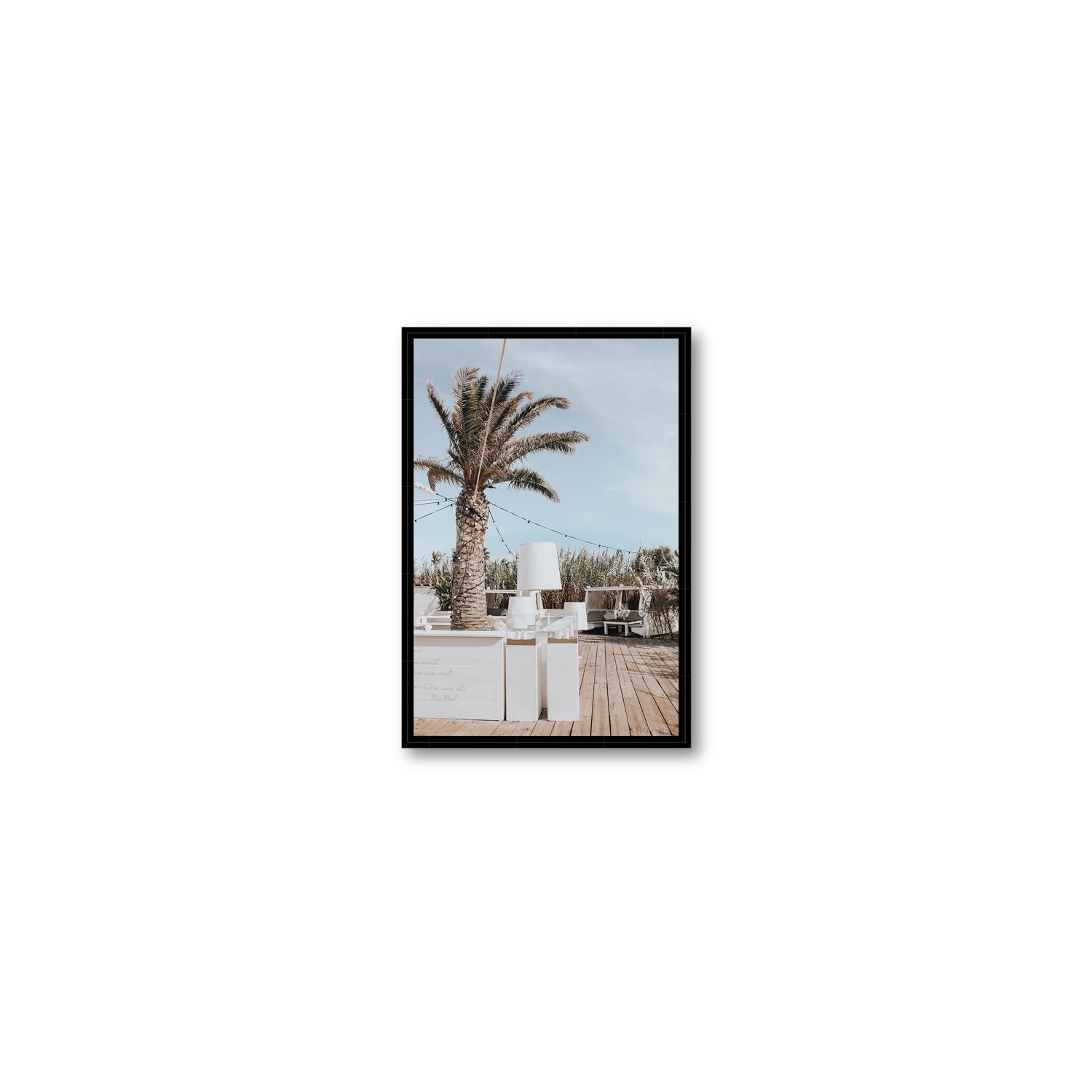 Seabreeze Palm