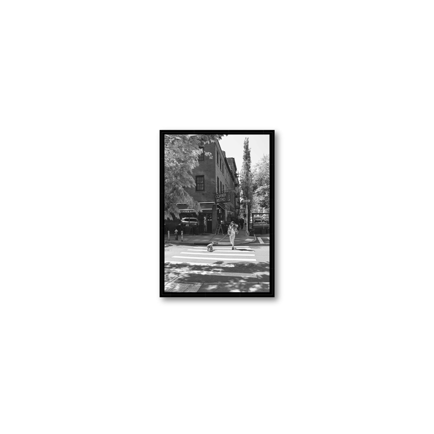 Sunlit Stroll New York NYC Black & White wall art Small fine art canvas in black float frame