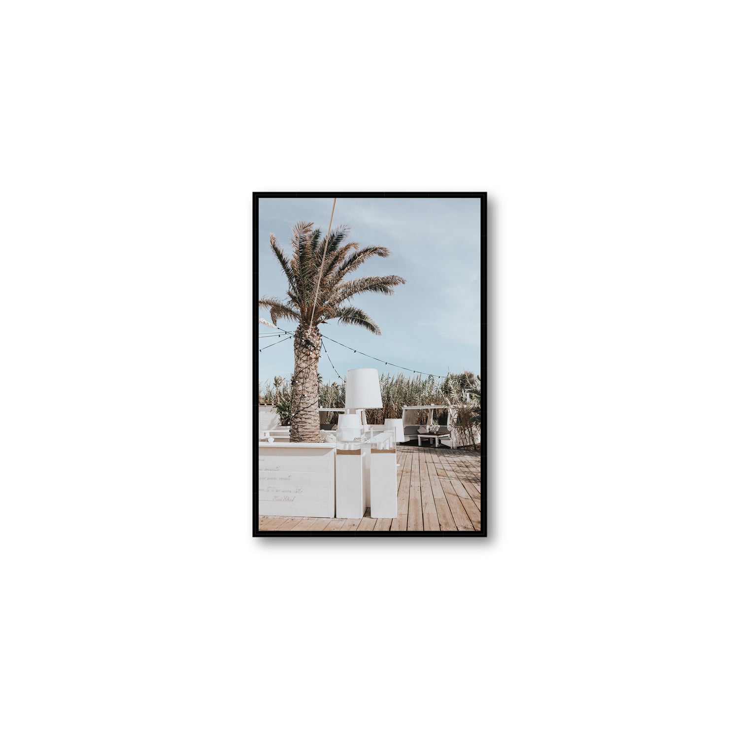 Seabreeze Palm