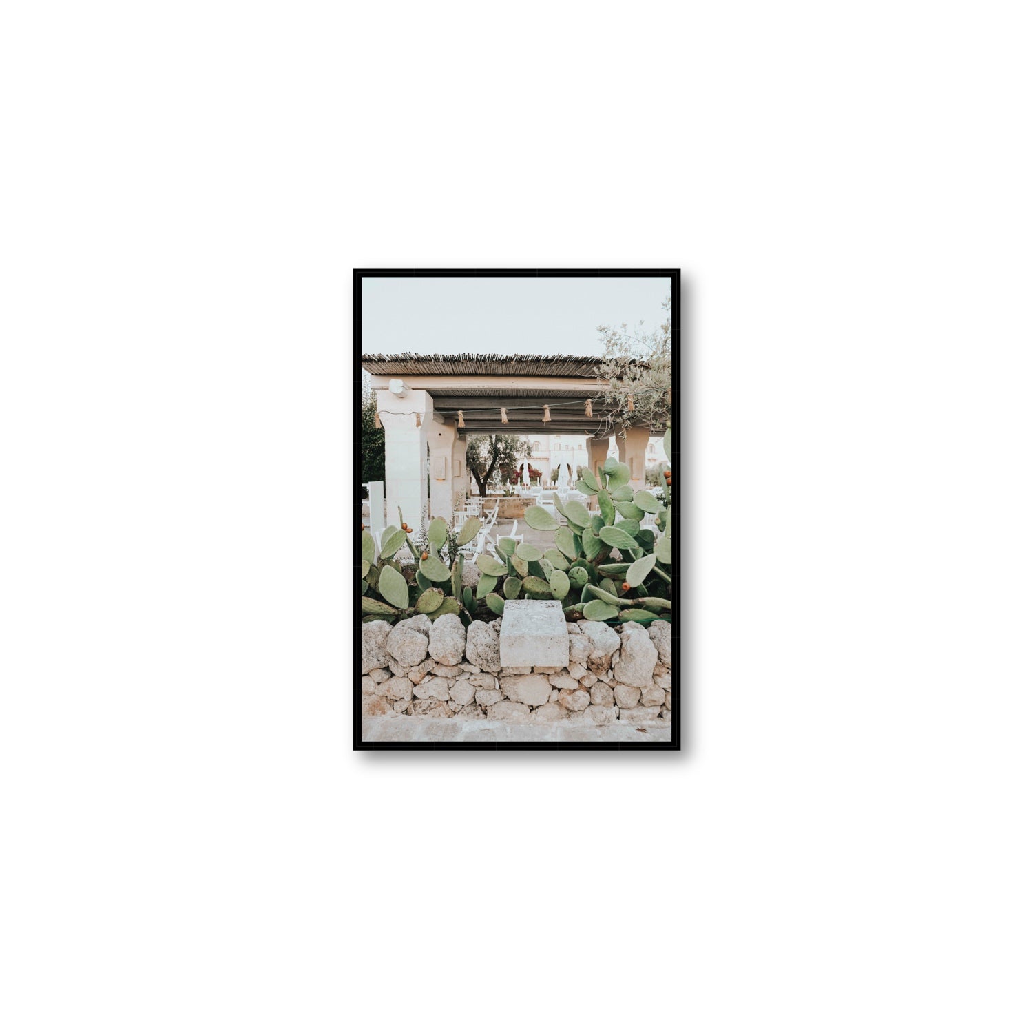 Puglia Flora Puglia Borgo Egnazia Mediterranean wall art Medium fine art canvas in black float frame