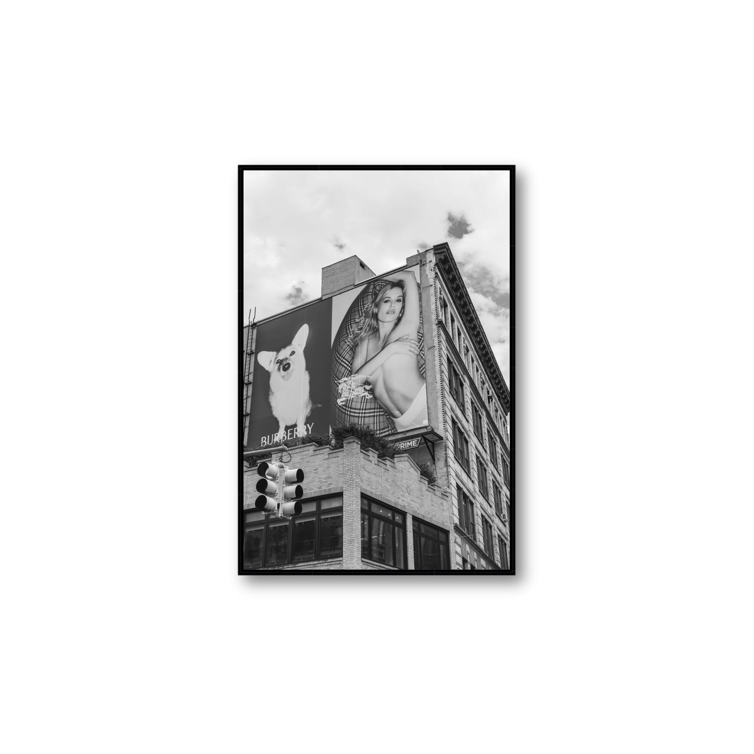 Dynamic Duo fine art print, New York, United States, Large, Black Float Frame, Fine Art Canvas