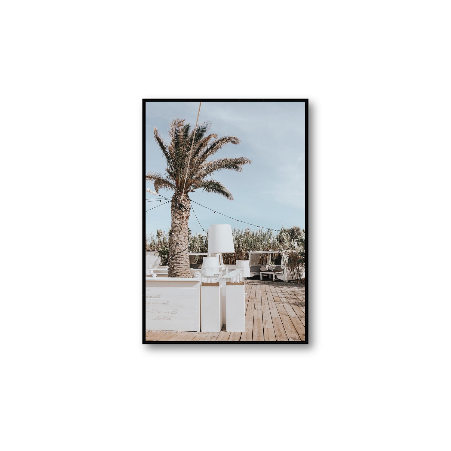 Seabreeze Palm