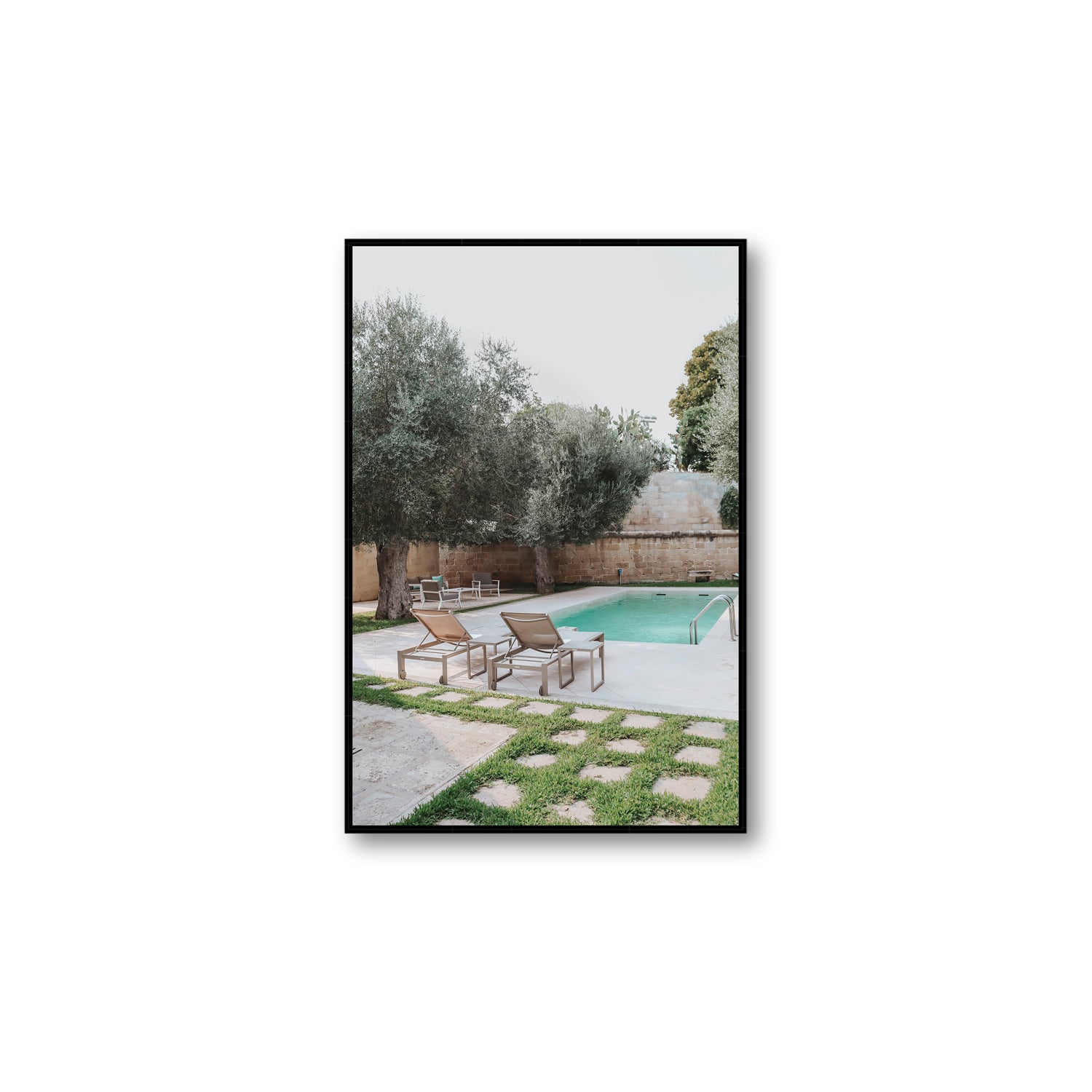 Olive Oasis