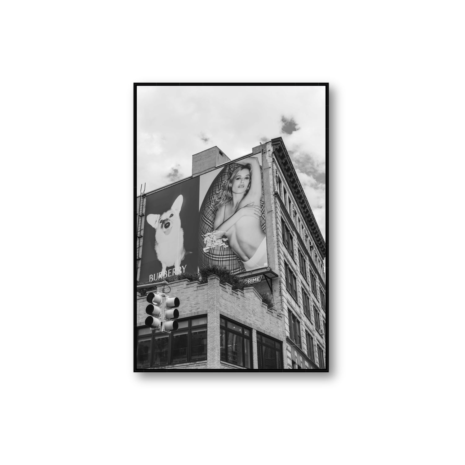Dynamic Duo fine art print, New York, United States, Extra Large, Black Float Frame, Fine Art Canvas