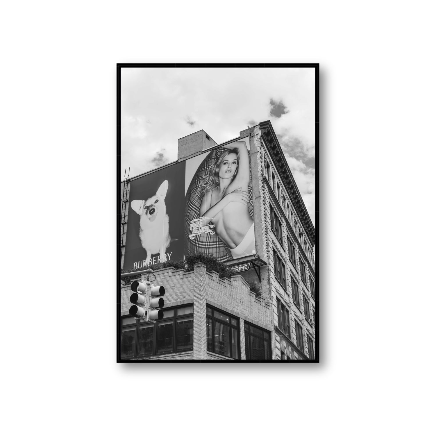 Dynamic Duo fine art print, New York, United States, Giant, Black Float Frame, Fine Art Canvas