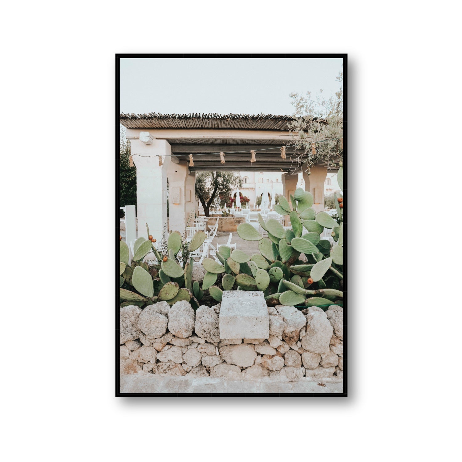Puglia Flora Puglia Borgo Egnazia Mediterranean wall art Gallery fine art canvas in black float frame