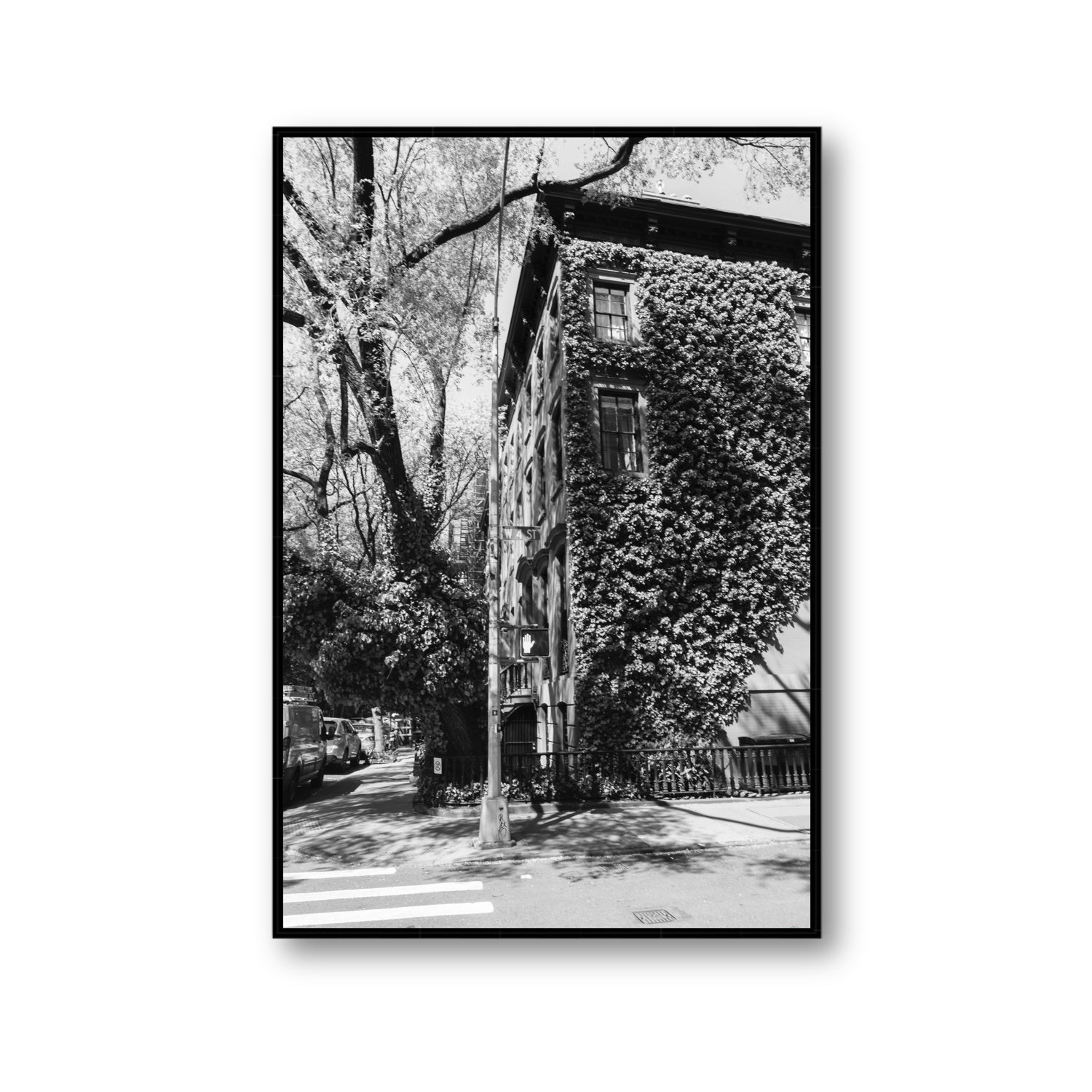 Vertical Garden New York NYC Black & White wall art Gallery fine art canvas in black float frame