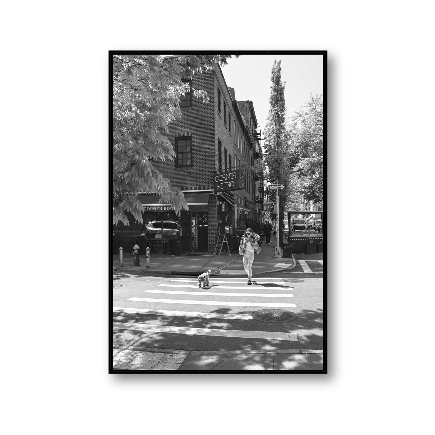 Sunlit Stroll New York NYC Black & White wall art Gallery fine art canvas in black float frame