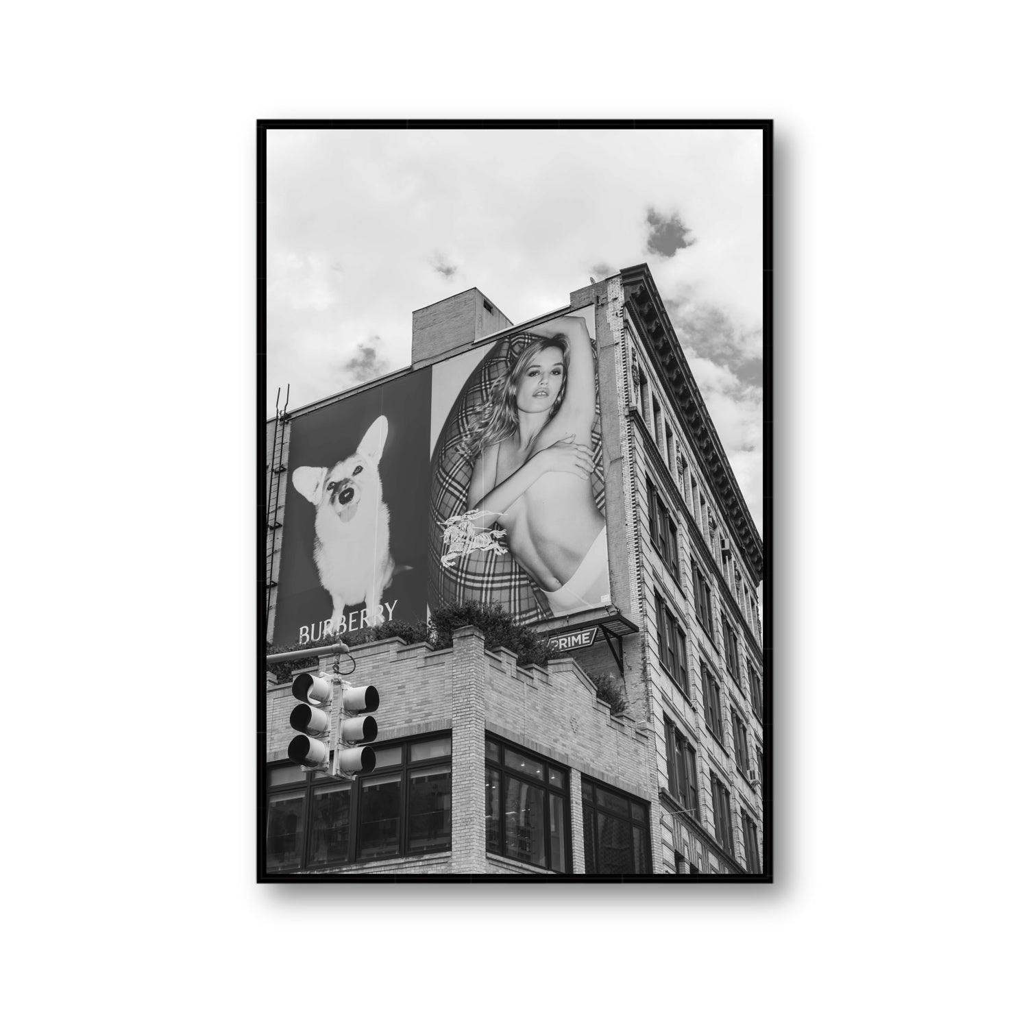 Dynamic Duo fine art print, New York, United States, Gallery, Black Float Frame, Fine Art Canvas