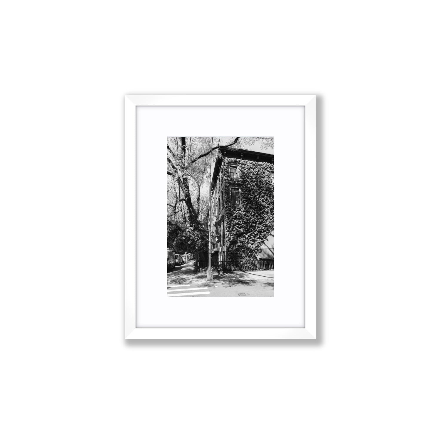 Vertical Garden New York NYC Black & White wall art Small fine art print in white frame with matboard