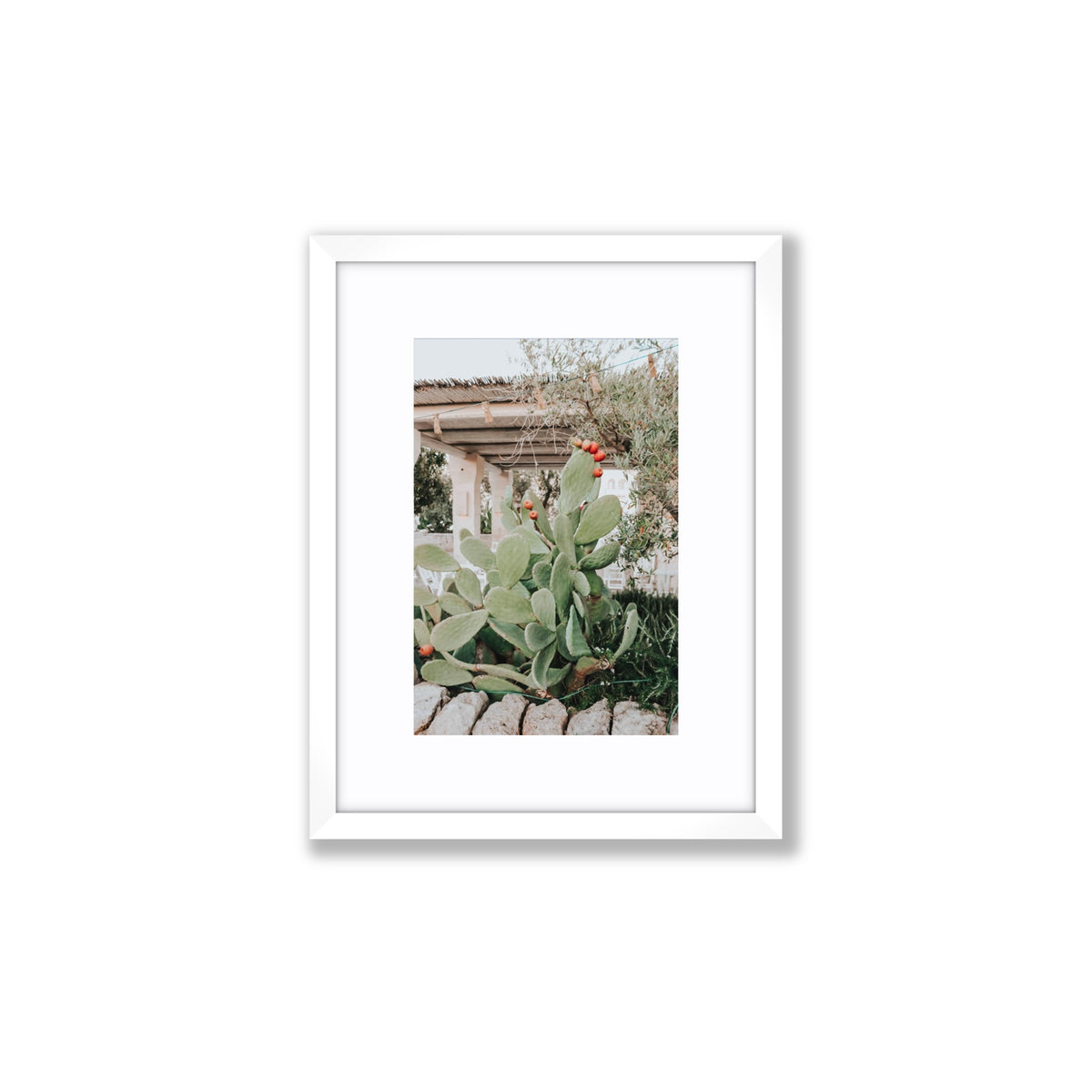 Opuntia Beauty Puglia wall art Small fine art print in white frame with matboard