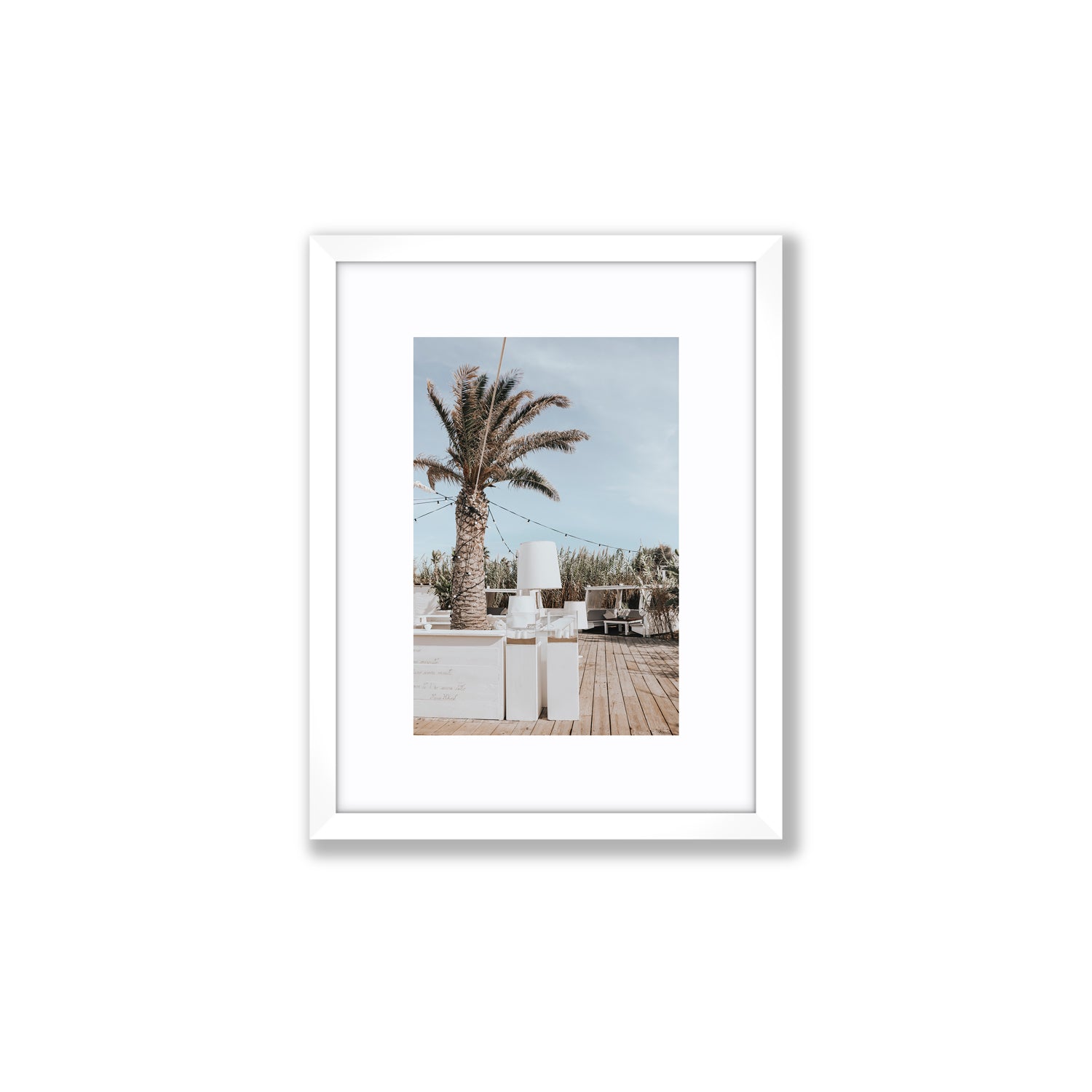 Seabreeze Palm