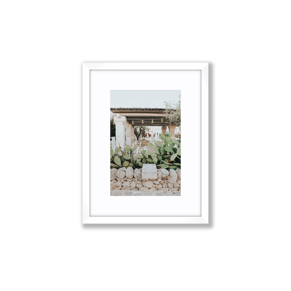 Puglia Flora Puglia Borgo Egnazia Mediterranean wall art Small fine art print in white frame with matboard