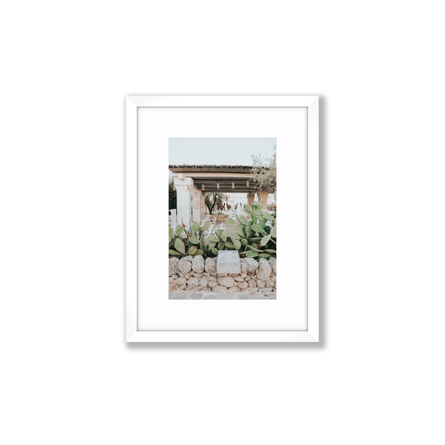 Puglia Flora Puglia Borgo Egnazia Mediterranean wall art Small fine art print in white frame with matboard
