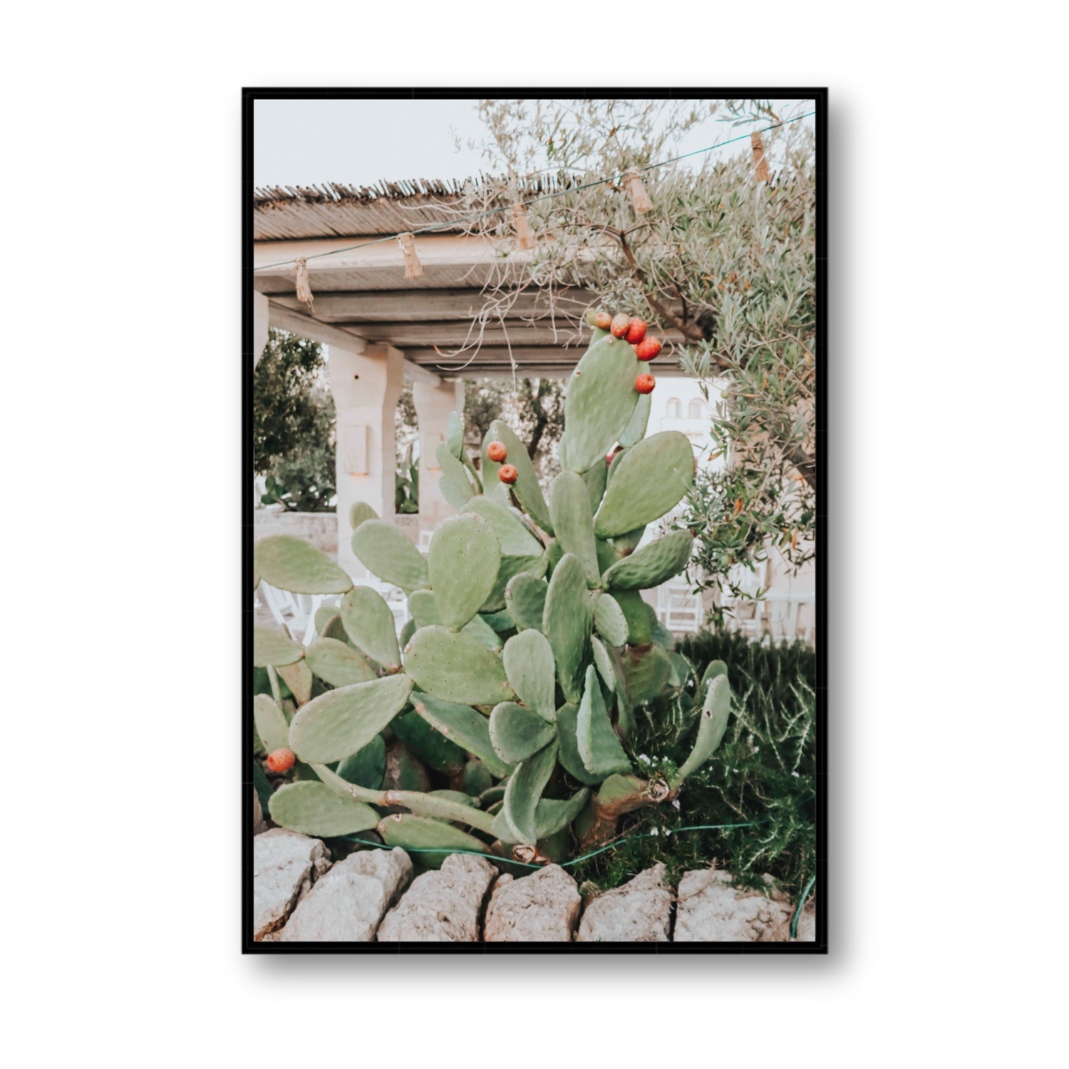 Opuntia Beauty Puglia wall art Statement fine art canvas in black float frame