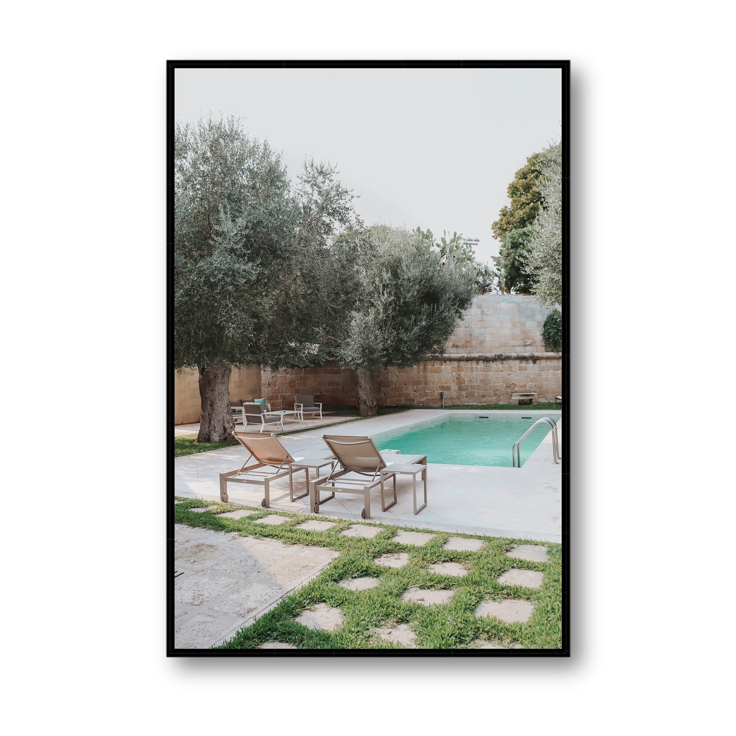 Olive Oasis