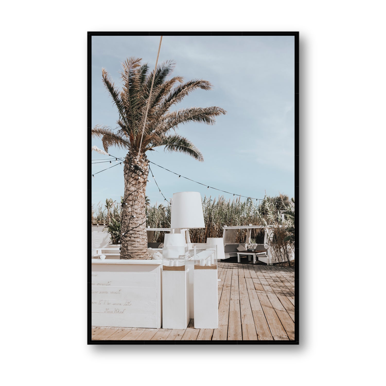 Seabreeze Palm