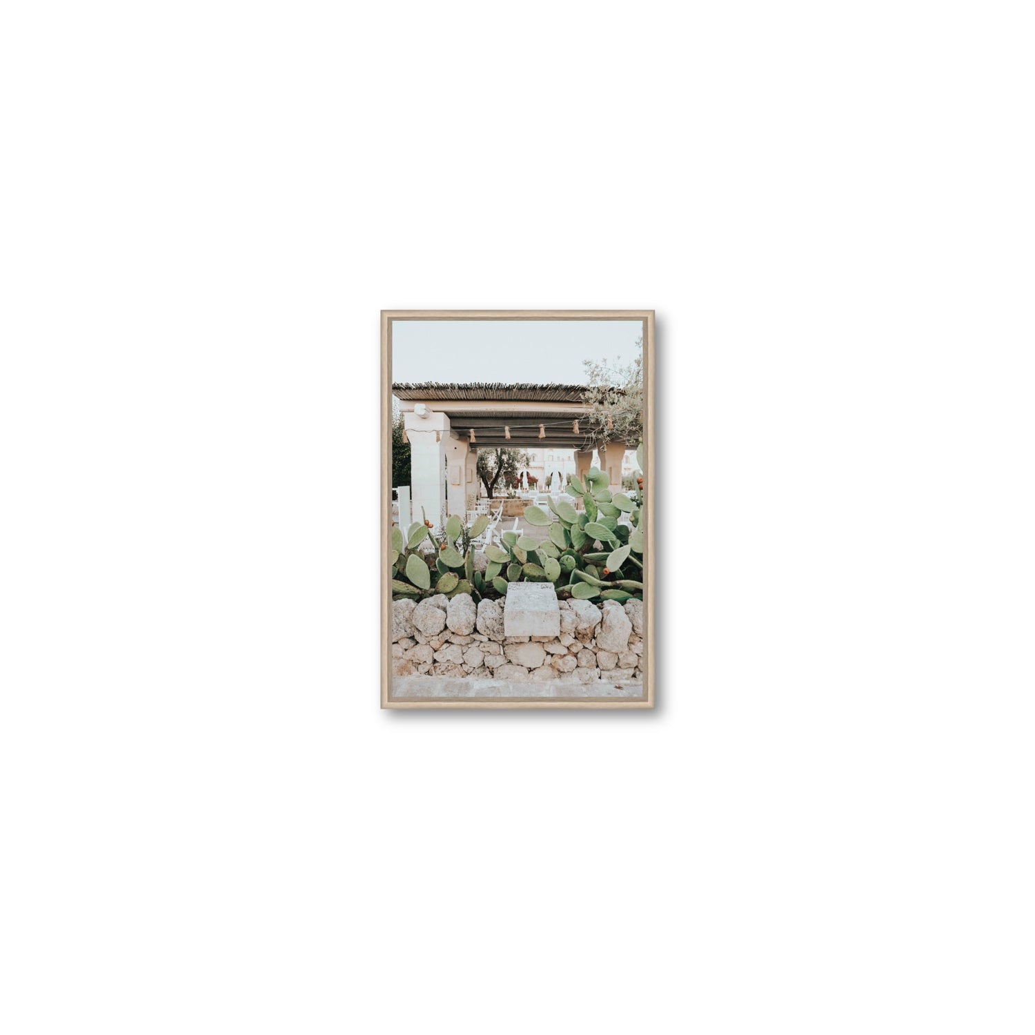Puglia Flora Puglia Borgo Egnazia Mediterranean wall art Small fine art canvas in natural oak float frame
