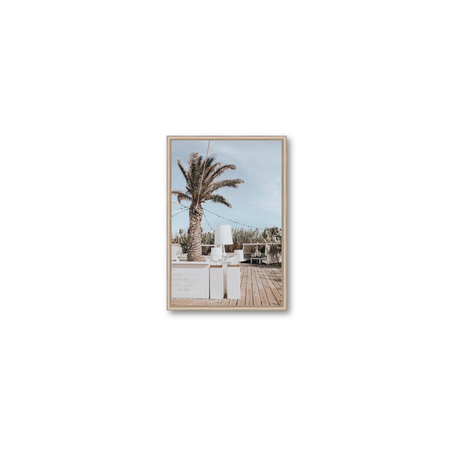 Seabreeze Palm