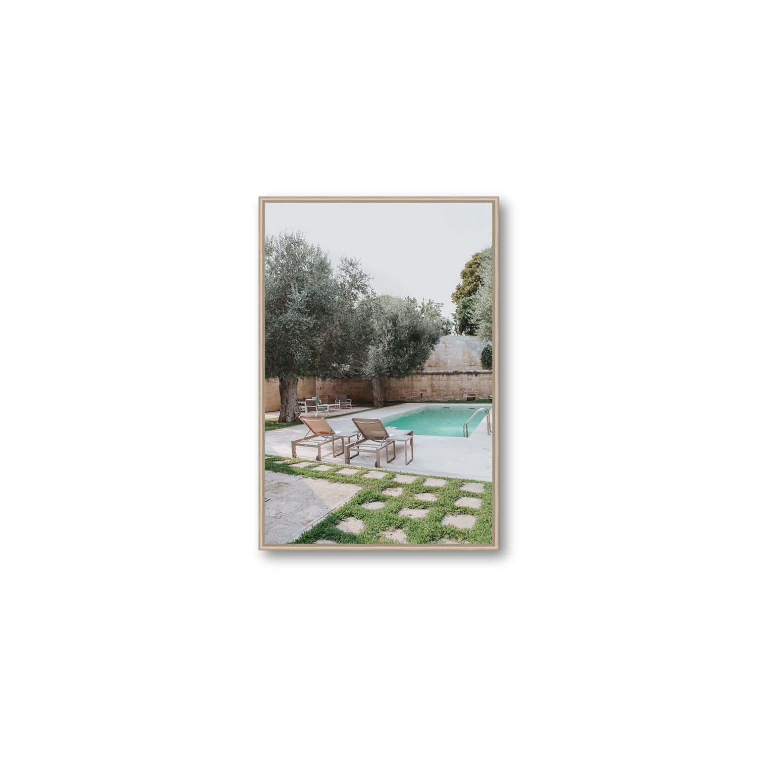Olive Oasis