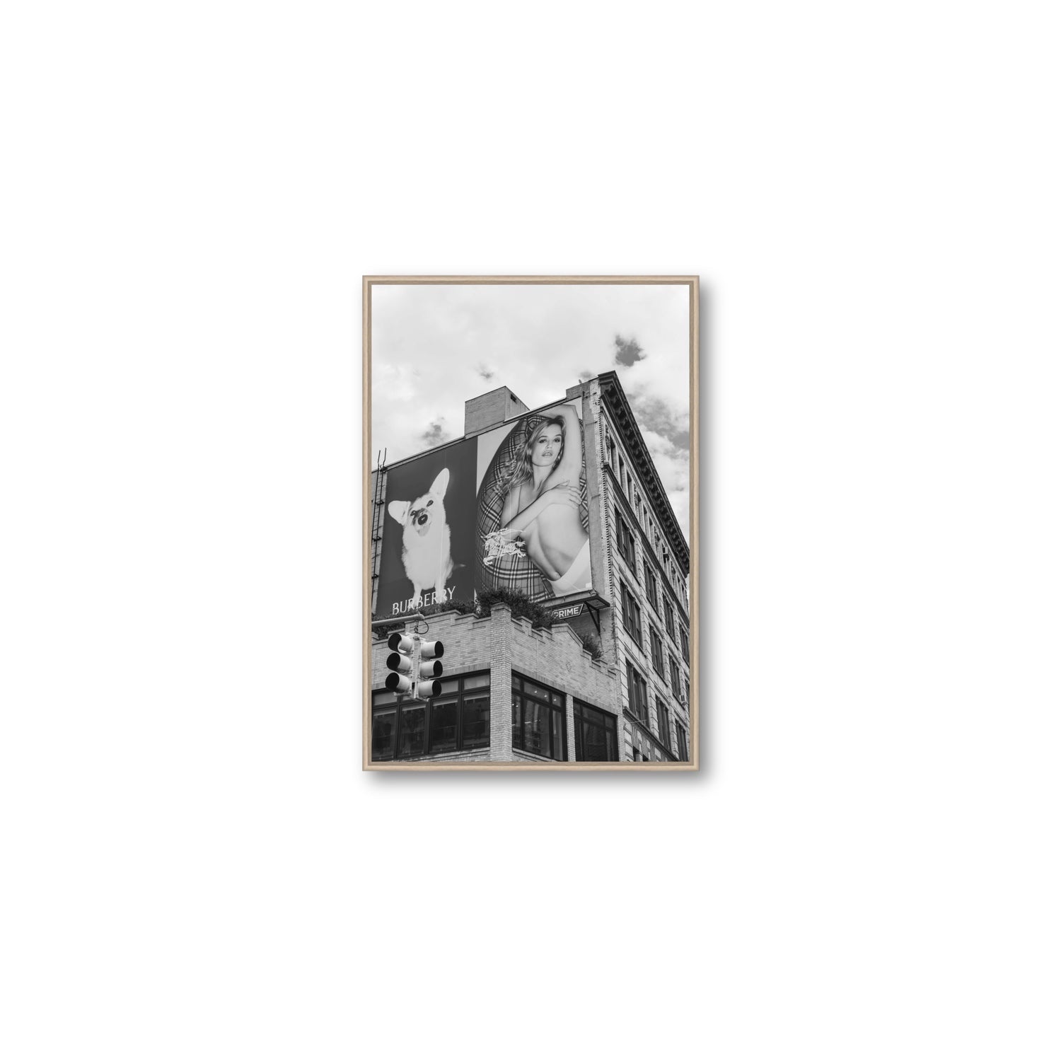Dynamic Duo fine art print, New York, United States, Medium, Natural Oak Float Frame, Fine Art Canvas