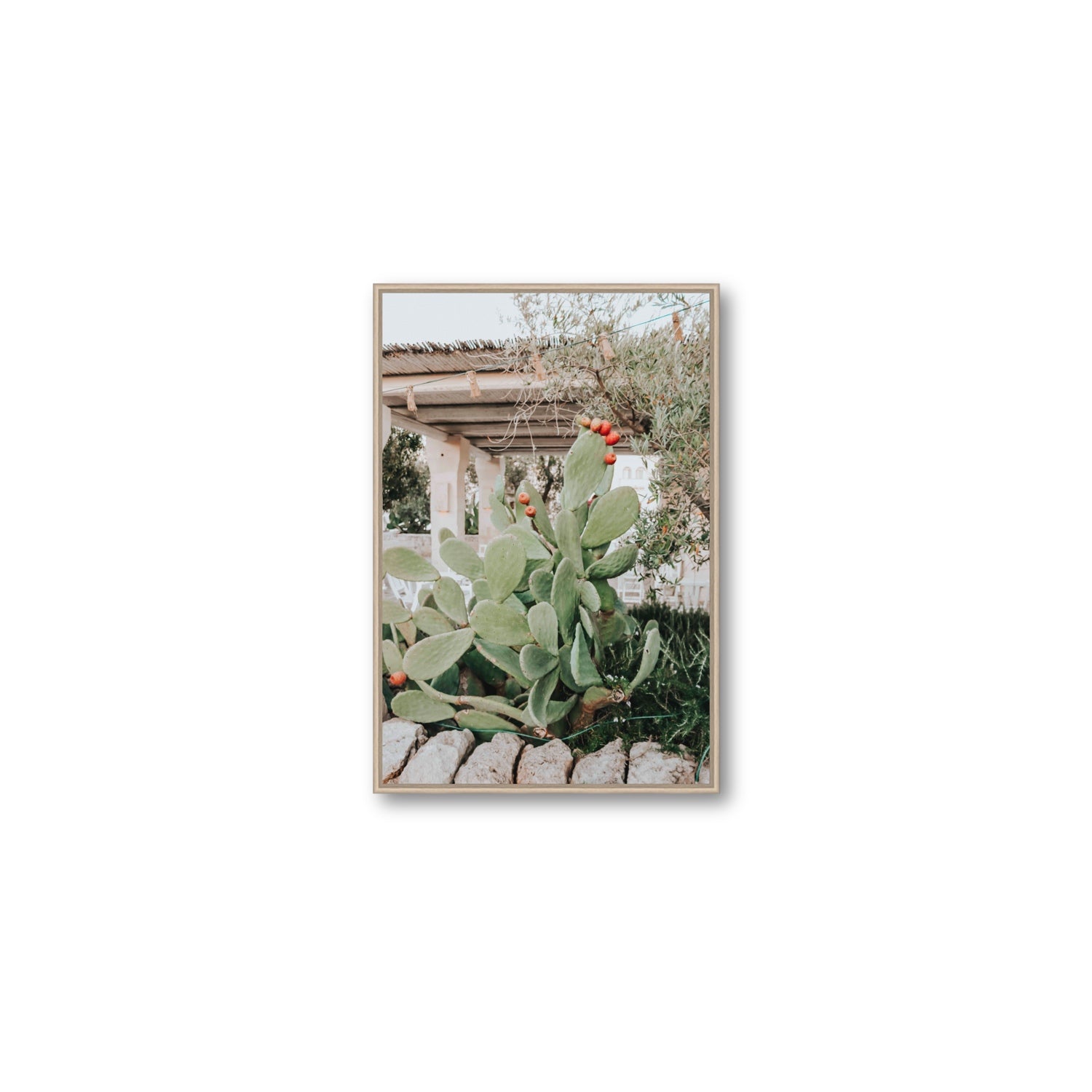 Opuntia Beauty Puglia wall art Medium fine art canvas in natural oak float frame