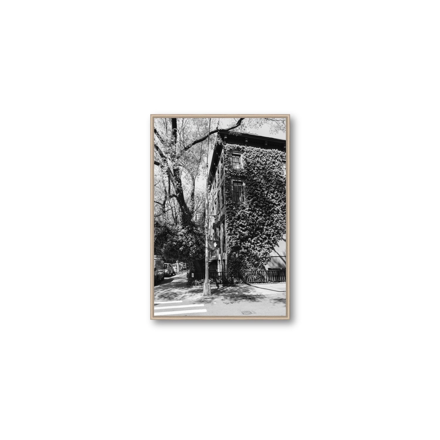 Vertical Garden New York NYC Black & White wall art Medium fine art canvas in natural oak float frame