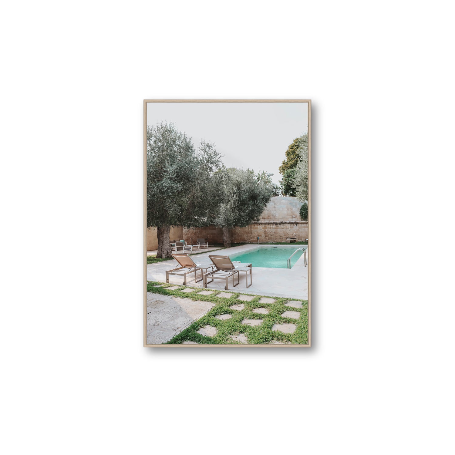 Olive Oasis