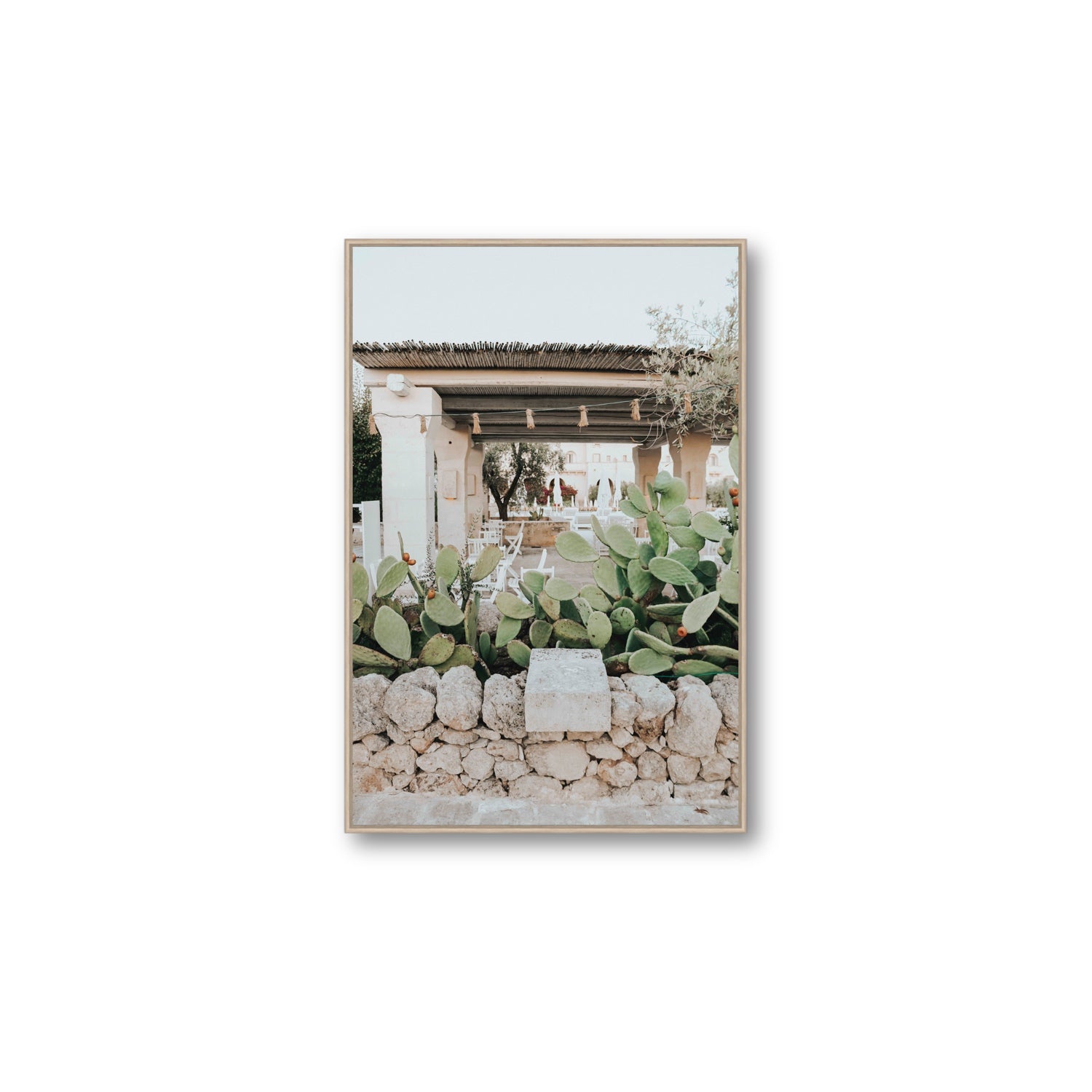 Puglia Flora Puglia Borgo Egnazia Mediterranean wall art Large fine art canvas in natural oak float frame
