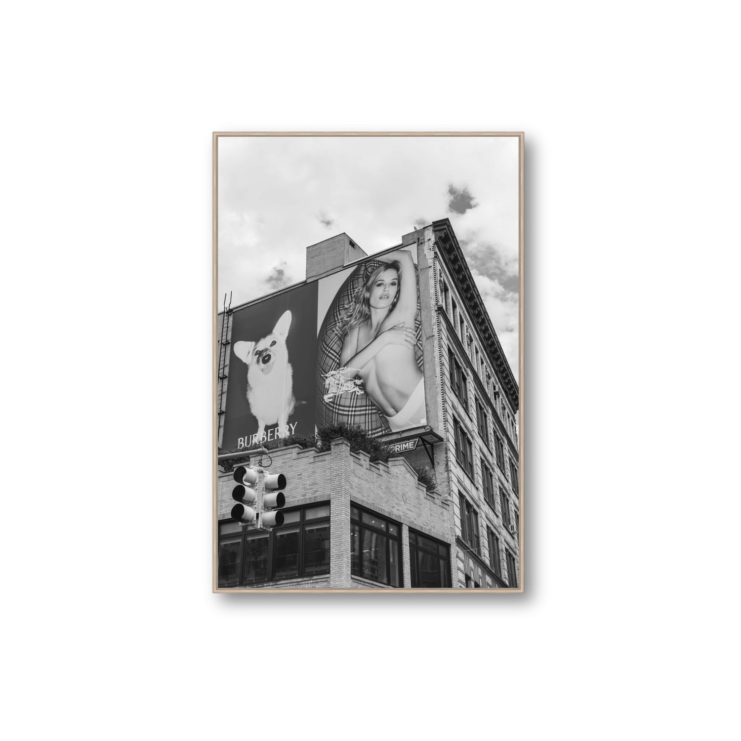 Dynamic Duo fine art print, New York, United States, Extra Large, Natural Oak Float Frame, Fine Art Canvas