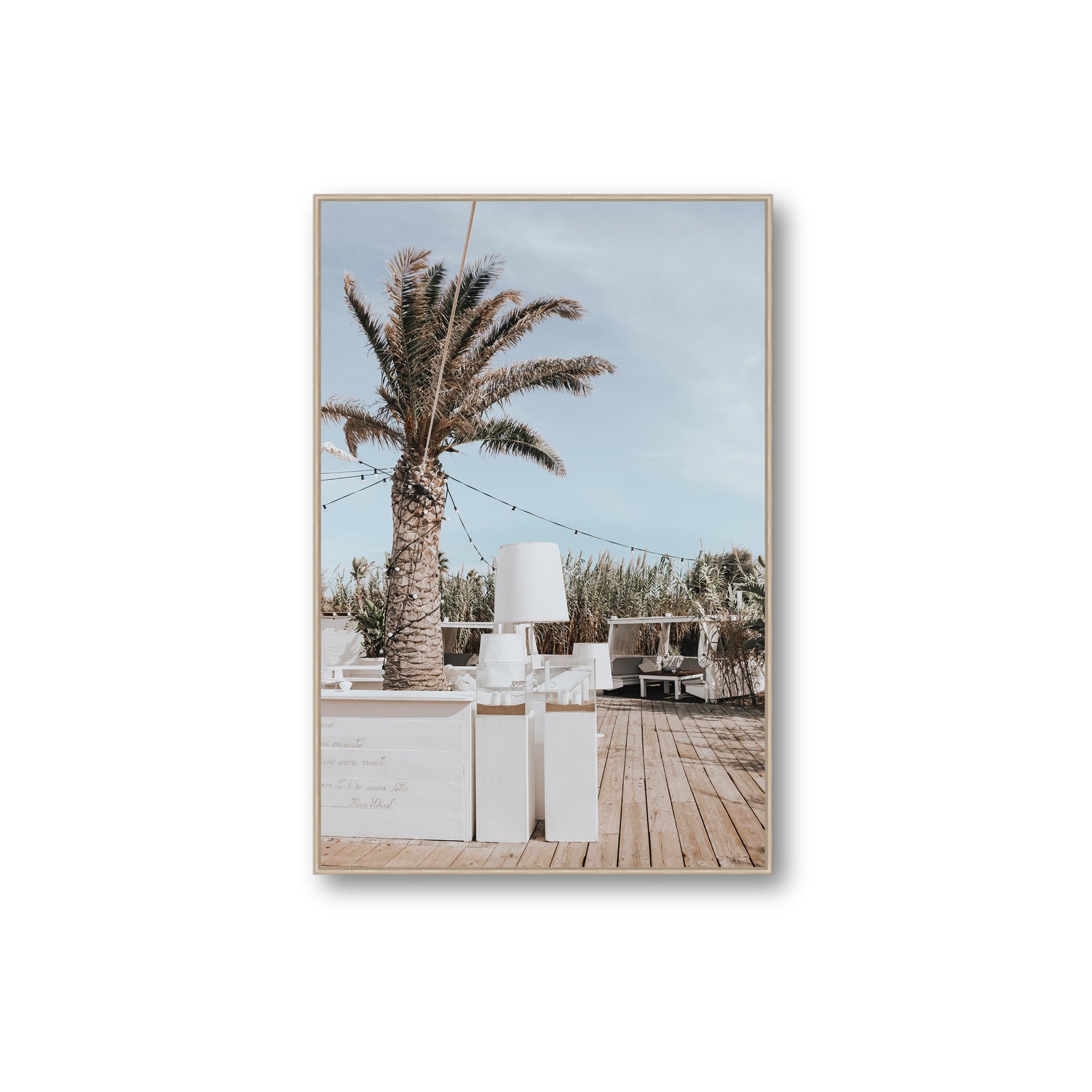 Seabreeze Palm