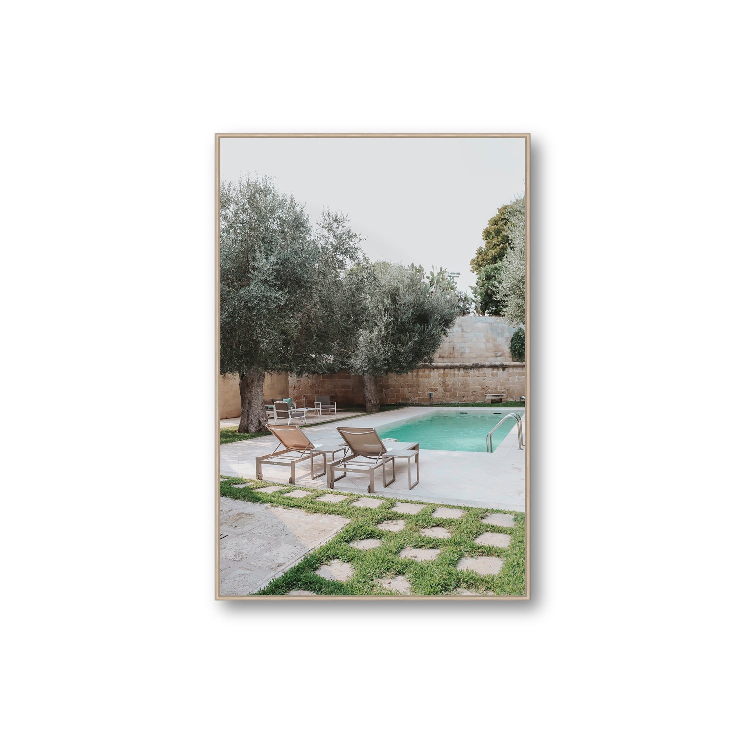 Olive Oasis