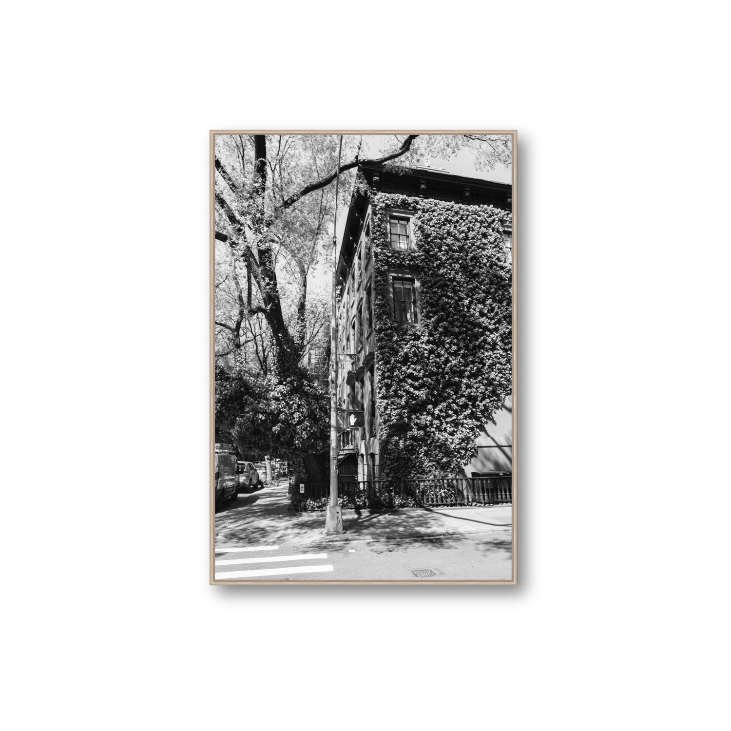Vertical Garden New York NYC Black & White wall art Extra Large fine art canvas in natural oak float frame