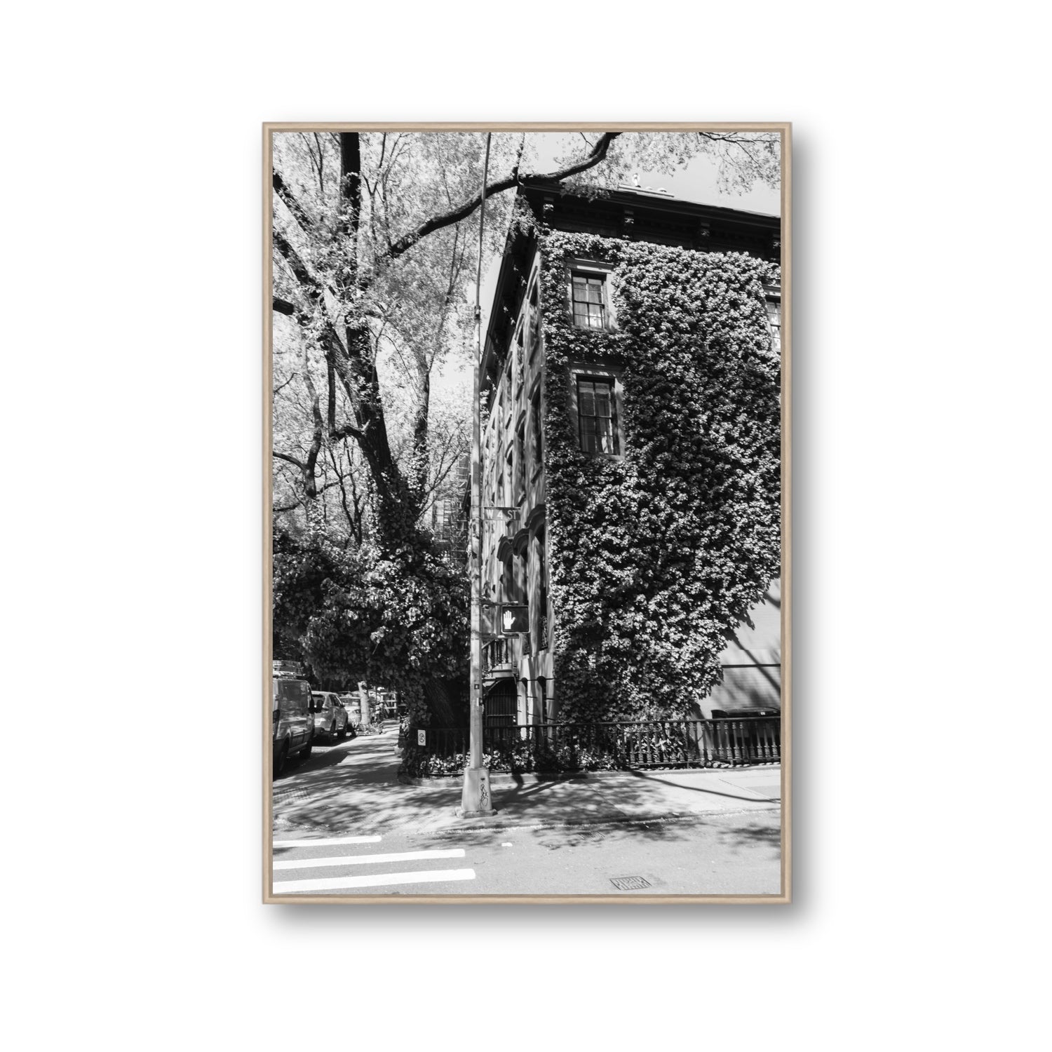 Vertical Garden New York NYC Black & White wall art Gallery fine art canvas in natural oak float frame