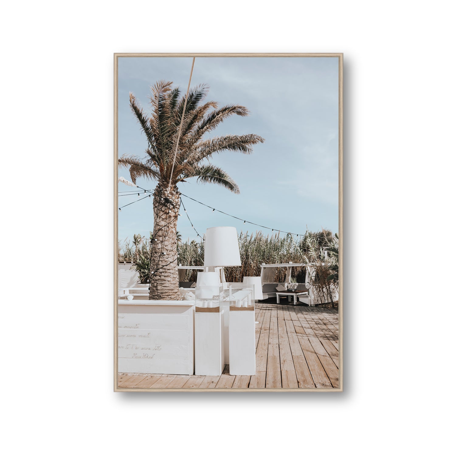 Seabreeze Palm
