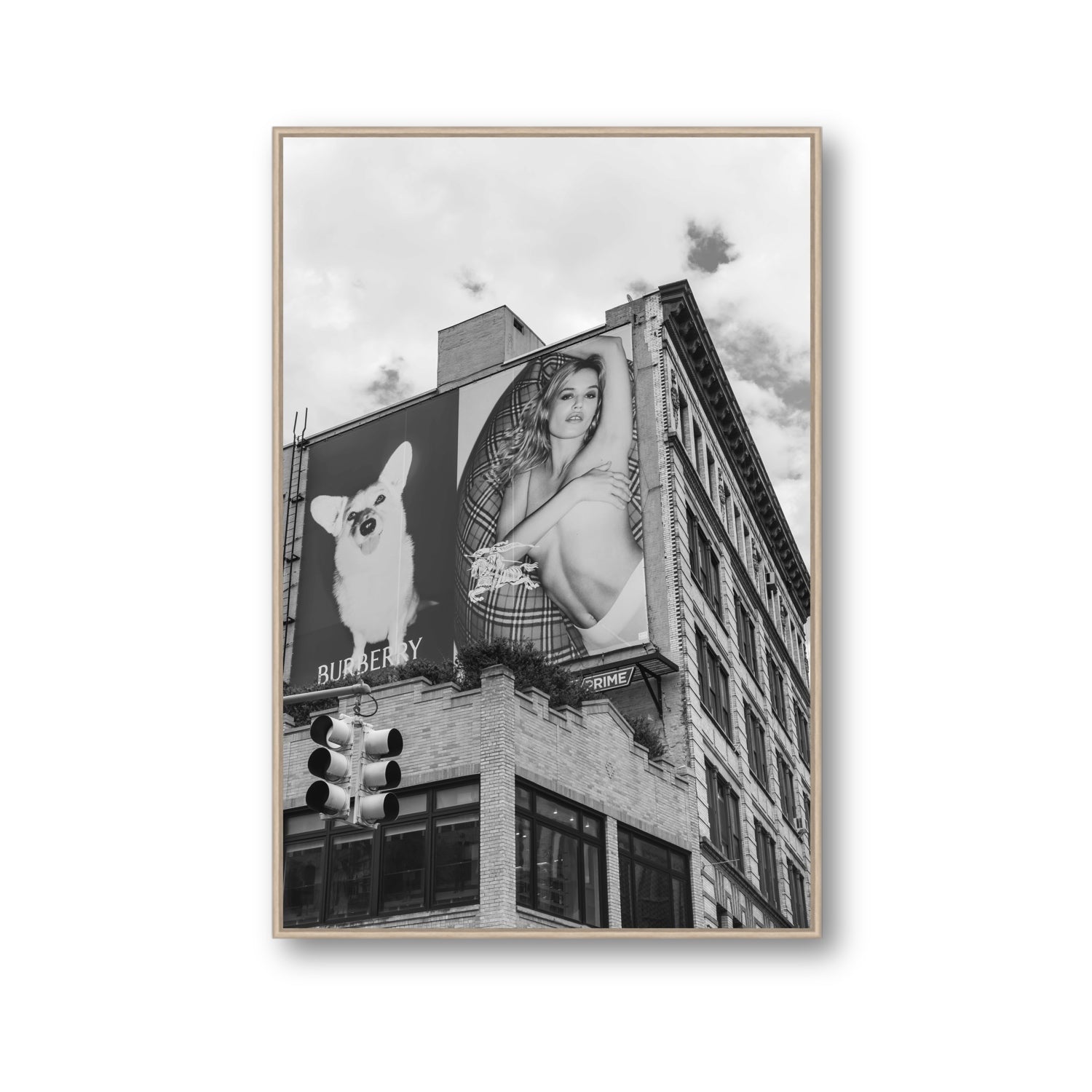 Dynamic Duo fine art print, New York, United States, Gallery, Natural Oak Float Frame, Fine Art Canvas