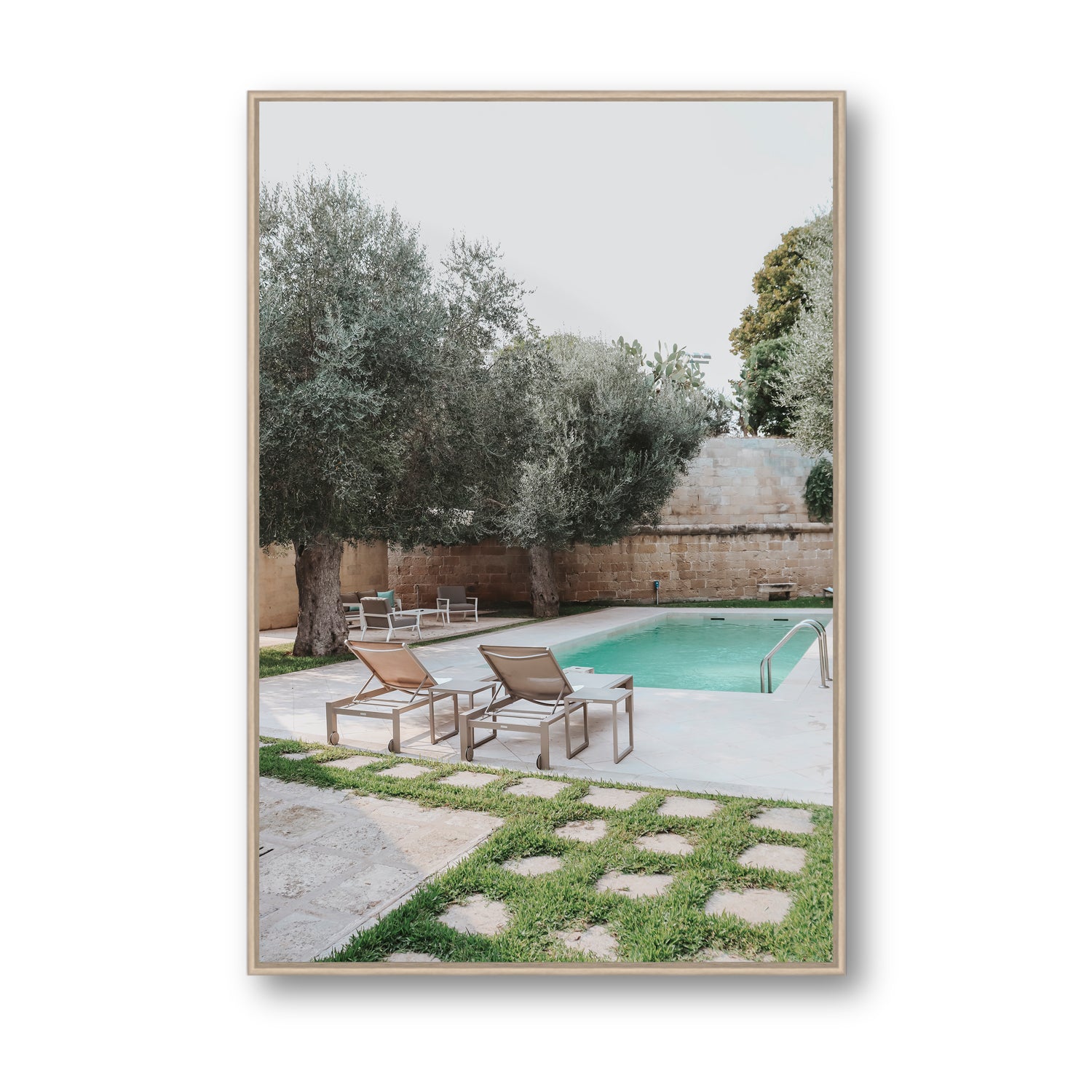 Olive Oasis