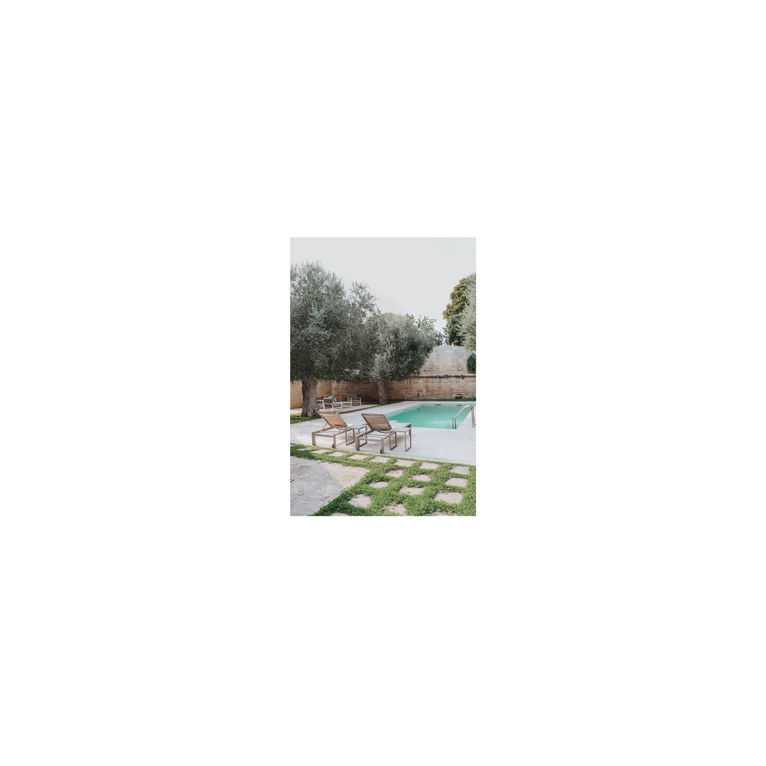 Olive Oasis
